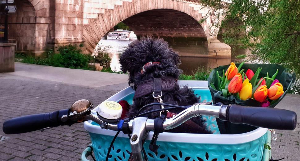 https://road.cc/wp-content/uploads/roadcc/Elodie 30-days-biking-5.jpeg